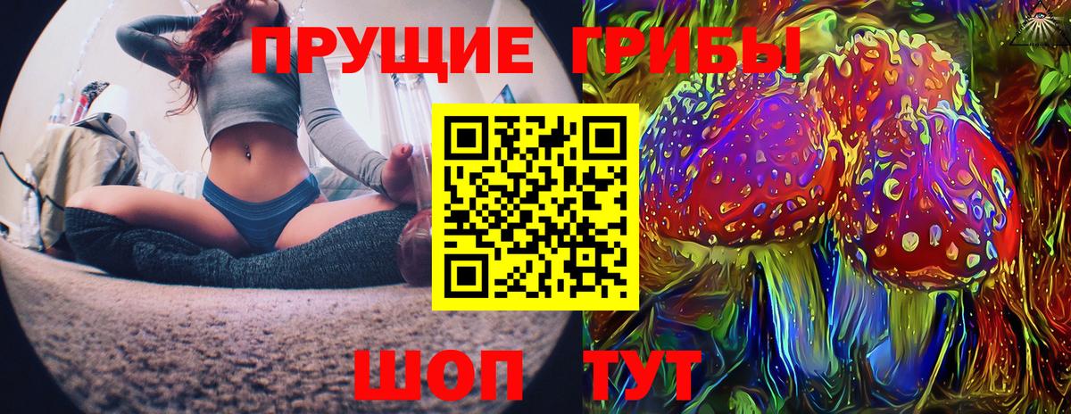 Галлюциногенные грибы прущие грибы  Вход с VPN  Заволжье 