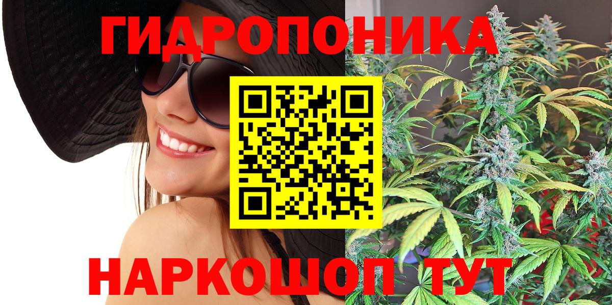МАРИХУАНА гибрид Заволжье